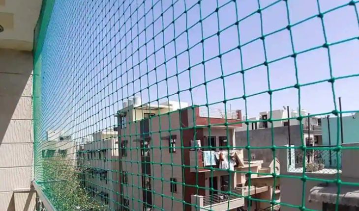 Service Provider of Bird Net in Noida, Uttar Pradesh, India.