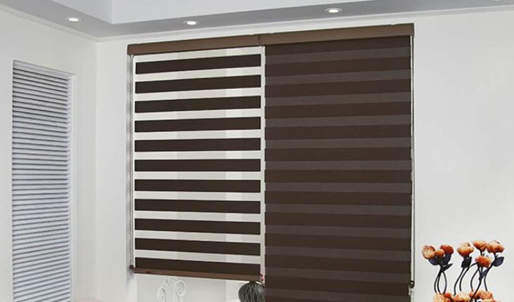 Service Provider of Zebra Blind in Noida, Uttar Pradesh, India.